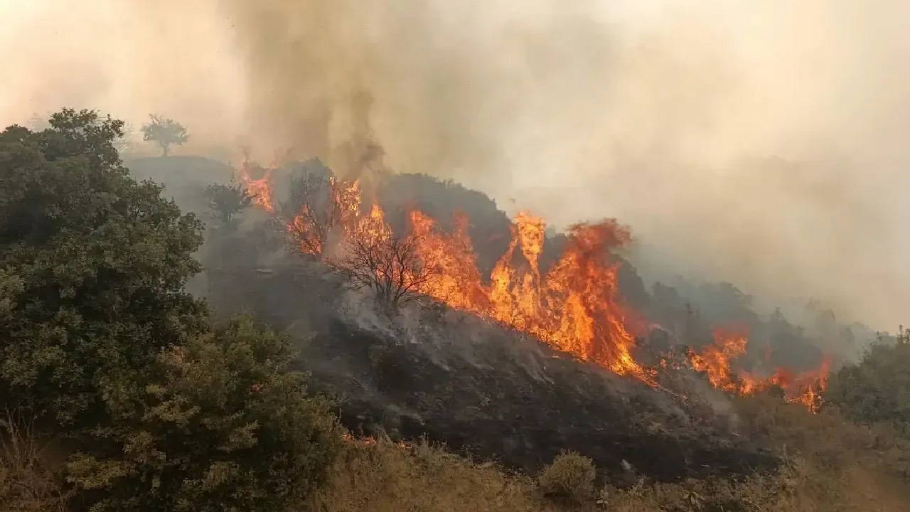 Manisa'nın Turgutlu ilçesinde makilik alanda alevler yükseldi: Ekipler seferber oldu