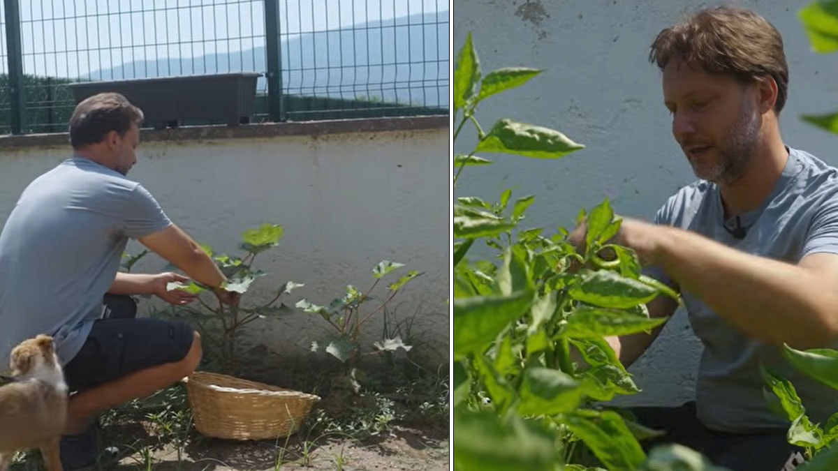 Ekranların sevilen yüzü Gökmen Kasabalı şehir hayatını bıraktı: Köyde organik tarımla yeni bir yaşam kurdu