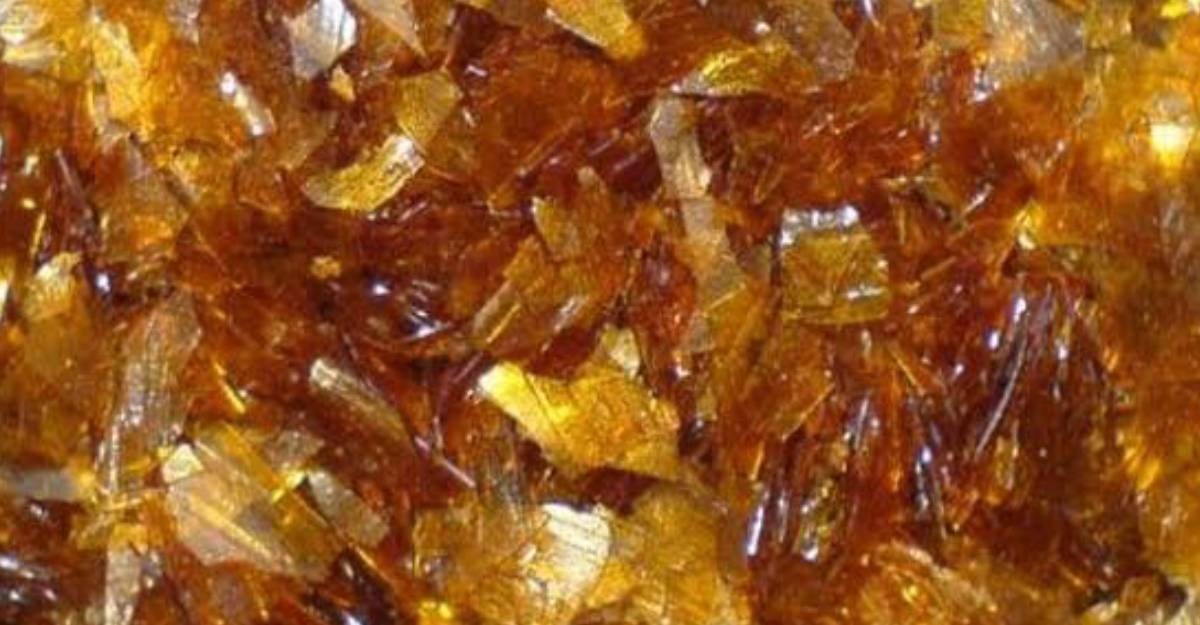 Böcek dışkısından elde edilen lüks ürünün fiyatı dudak uçuklatıyor