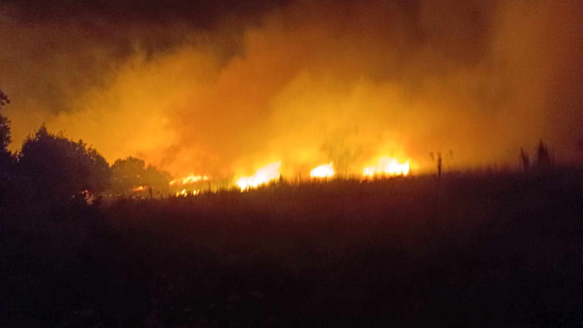 Diyarbakır'da arazi yangını: Ekiplerin söndürme çalışmaları devam ediyor