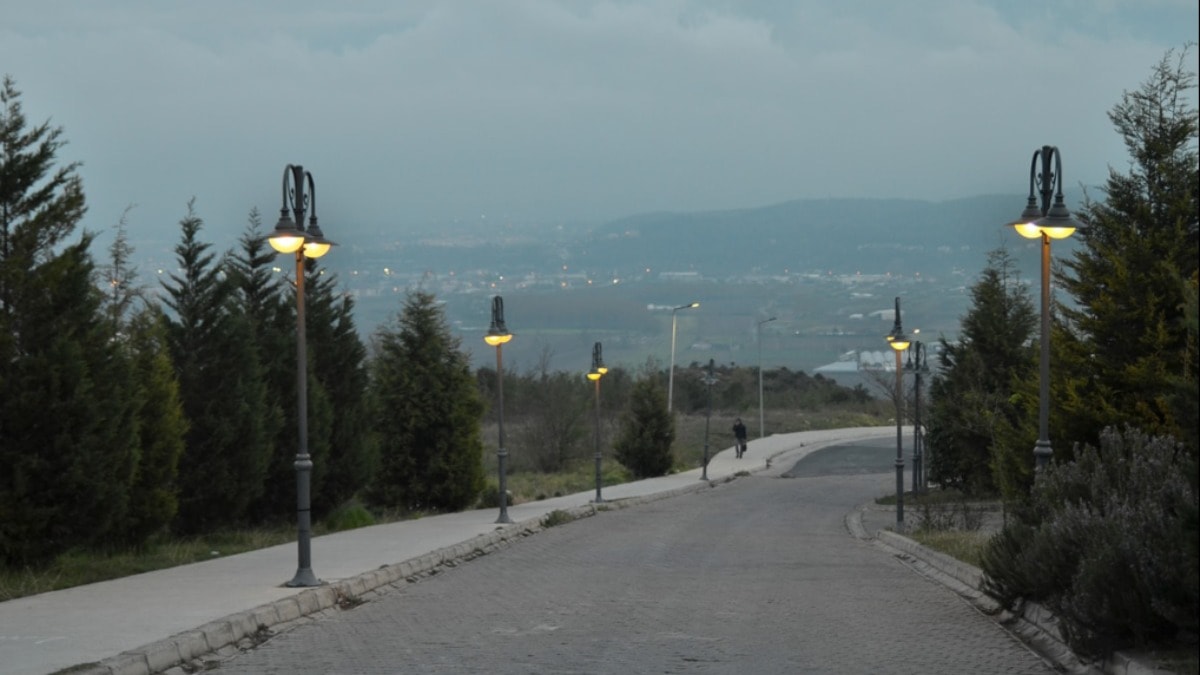 Trafoya giren kedi 12 milyar liralık zarara yol açtı