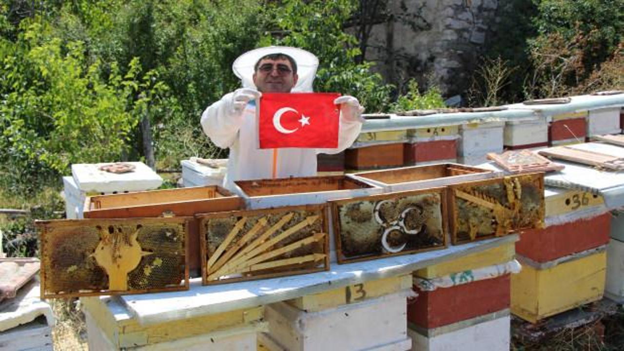 Arı kovanlarında sembolik seçim: Partilerin logolarını peteklere işledi