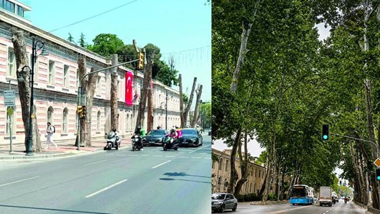 İstanbul'un simgesinde göz göre göre gelen felaket! İBB'nin hatası asırlık mirası çürüttü!