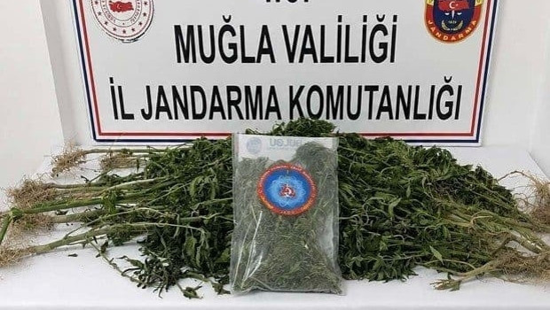 Muğla'da düzenlenen uyuşturucu operasyonlarında 7 şüpheliden 5'i tutuklandı