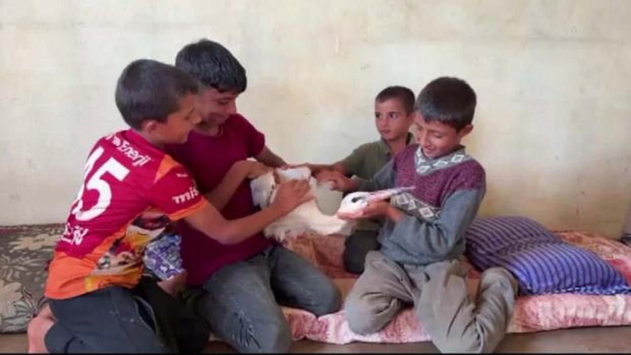 Hatay'da misafirperverlikte sınır yok! Göçte yorgun düşen leyleği evlerinde ağırladılar