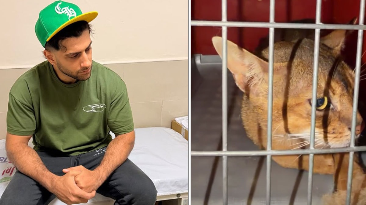 Sosyal medya fenomeni Reynmen, kedi severken yaşadığı kazayla hastaneye kaldırıldı