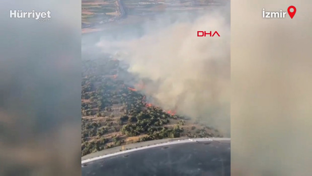 İzmir Torbalı'da orman yangını: Havadan müdahale devam ediyor