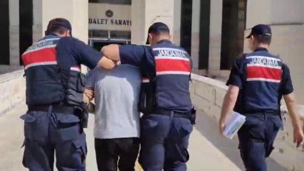Edremit'te orman yangını çıkaran şüpheli tutuklandı