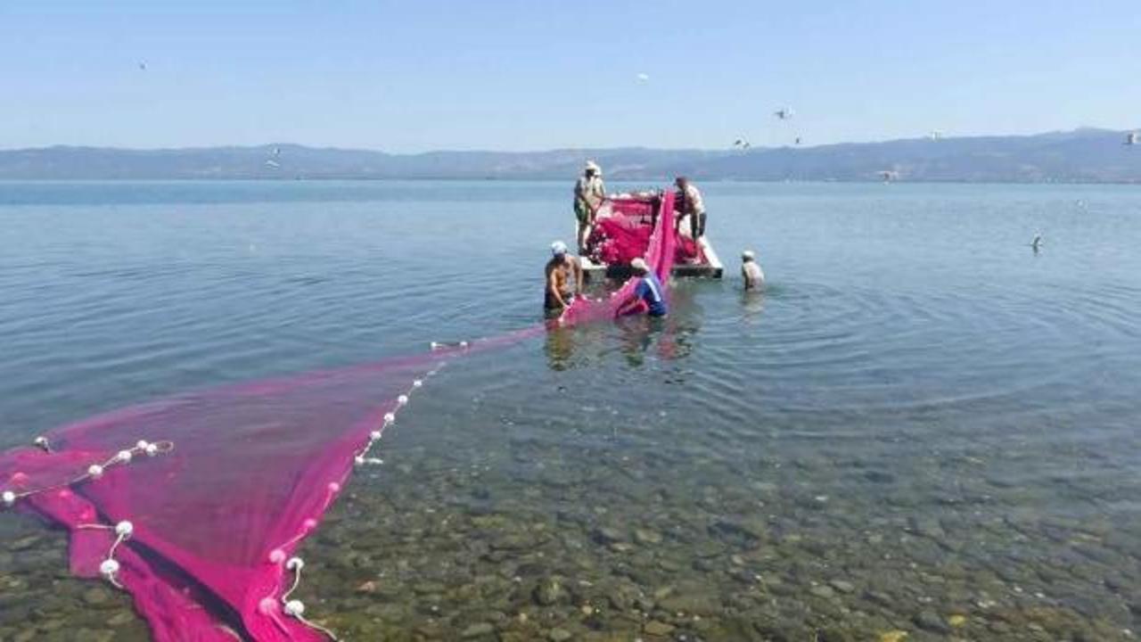 İznik Gölü'nde gümüş balığı sezonu açıldı: 400 tonluk hedef, gözler Amerika pazarında