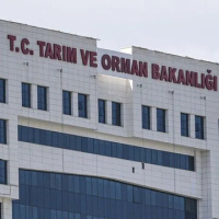 Tarım ve Orman Bakanlığı 1.874 Sözleşmeli Personel Alacak: Başvuru Şartları ve Kadro Dağılımı