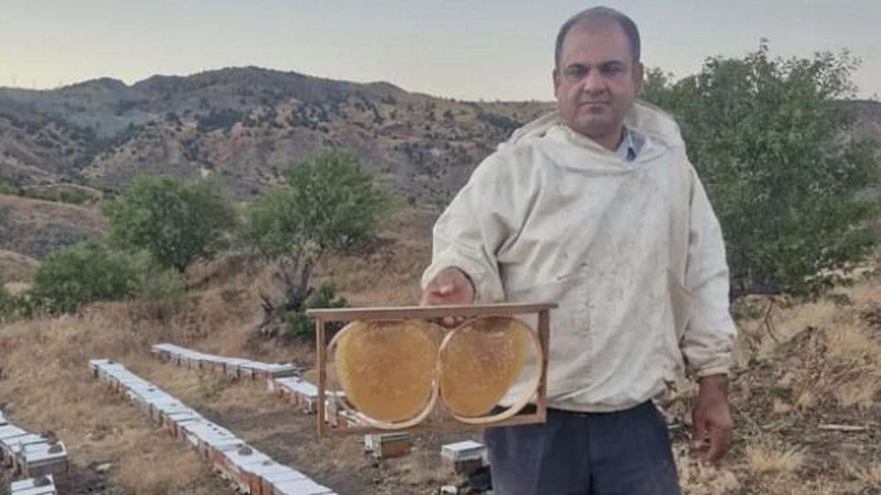 Adıyaman'da balın kilosu 2 bin 200 TL'ye yükseldi: Fiyatlar belli oldu