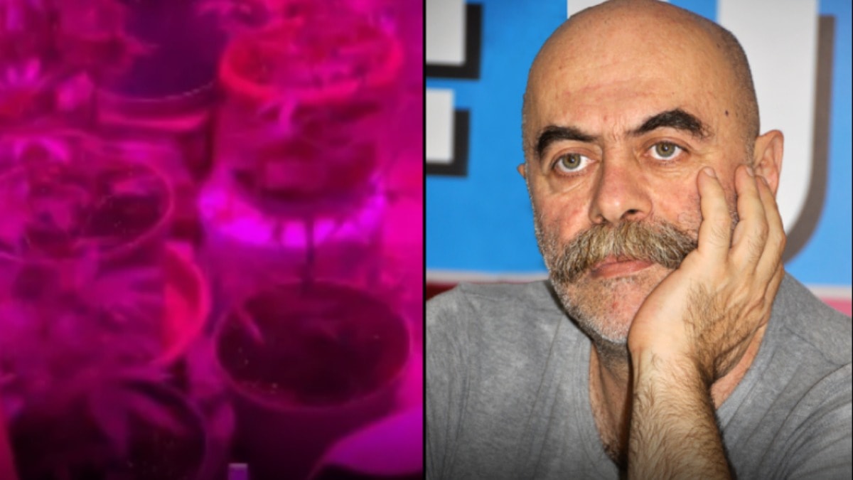 Ünlü yönetmenin banyosunda şoke eden keşif: Polis ekipleri gördükleri karşısında hayrete düştü