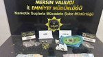 Mersin'de torbacılara operasyon: 4 şüpheli tutuklandı
