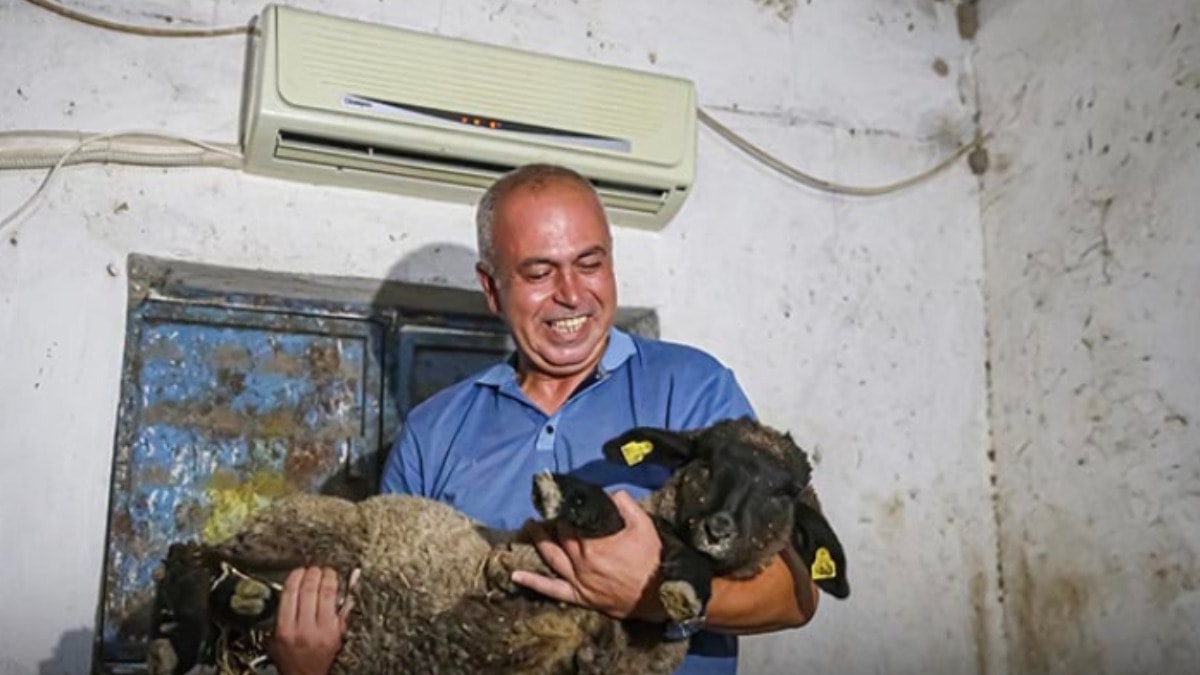 Avukatlık cübbesini çıkarıp ahırda klimalı sistem kurdu: Şehirli kasabın ilginç dönüşüm hikayesi
