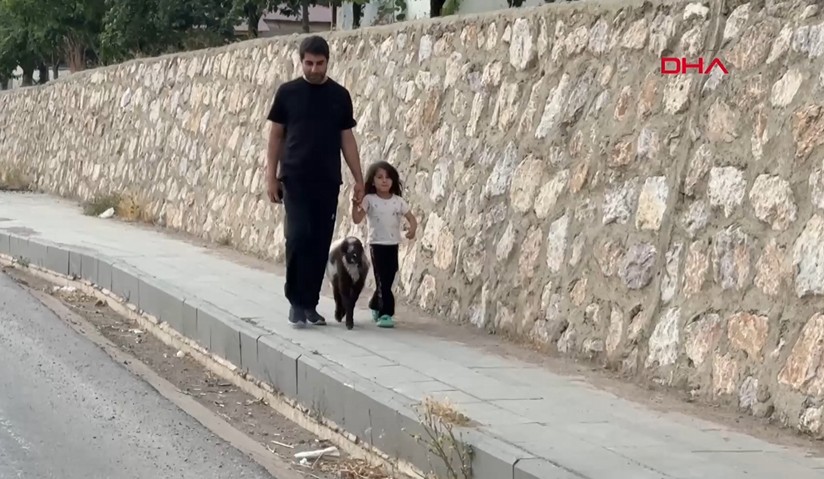 Hakkari'de annesiz kalan kuzuya 'baba' şefkati: 'Arif' artık mahallenin maskotu
