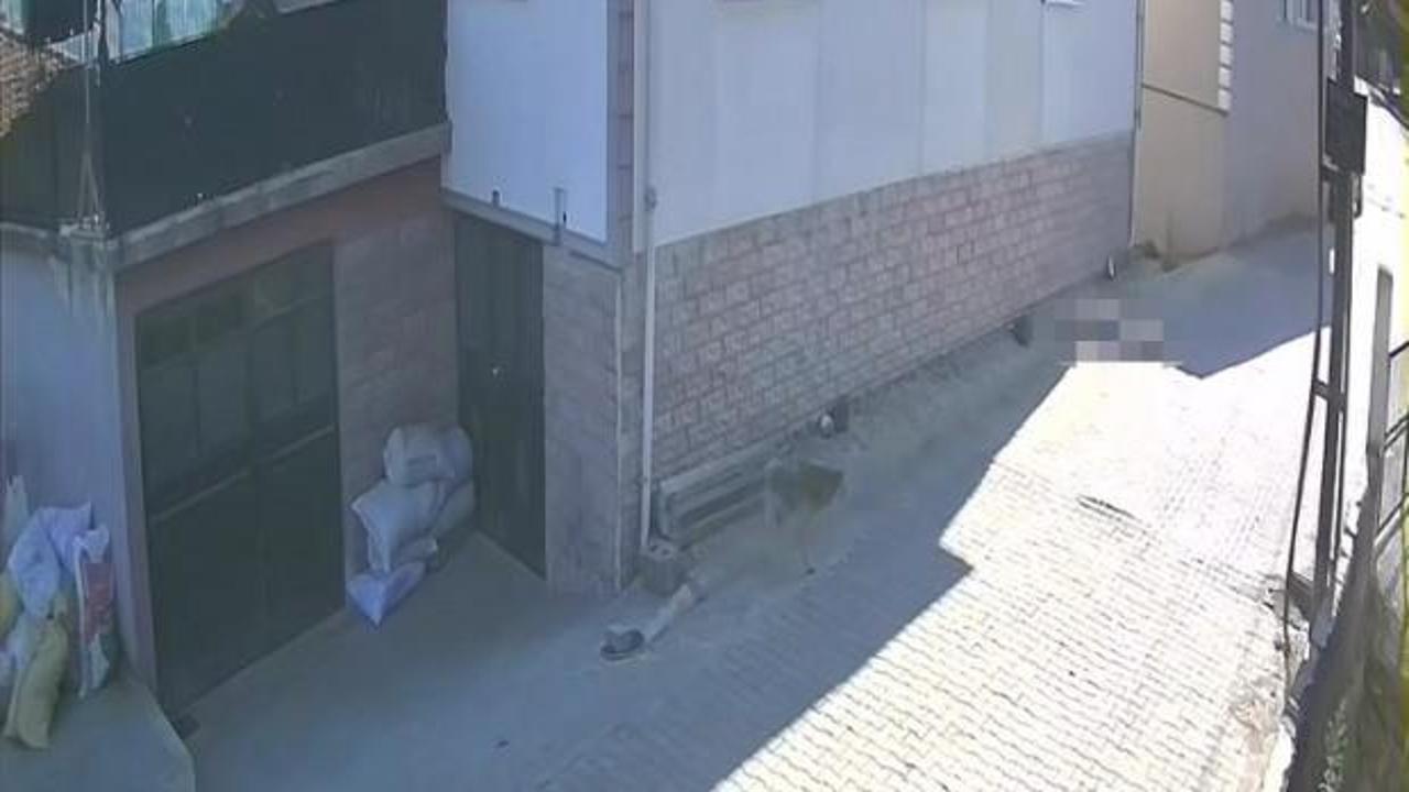 Zonguldak'ta feci son: Balkondan düşen kadın hayatını kaybetti