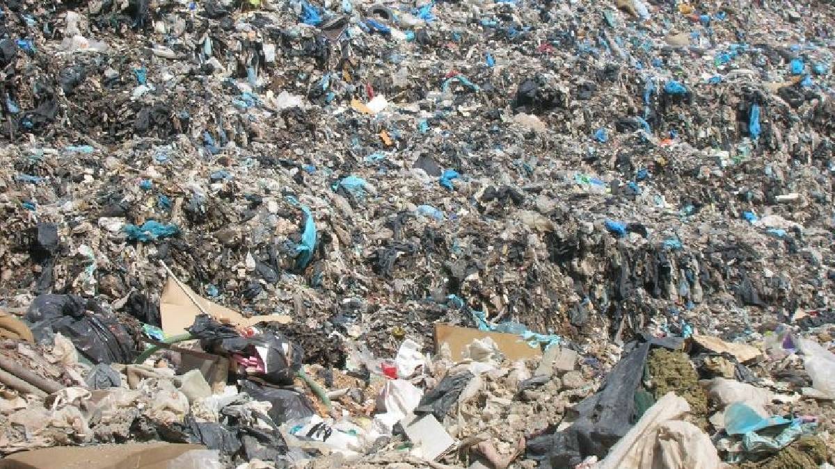 Çöpten topladıkları poşetlerle dev bir başarıya imza attılar: Atıktan servete dönüşen hikaye