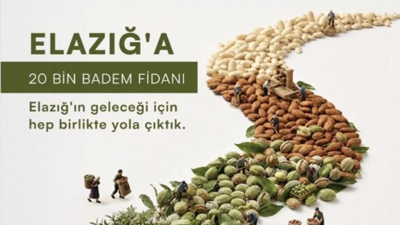 Elazığ'ın çorak yamaçları badem fidanlarıyla hayat buluyor: 20 bin fidanlık büyük seferberlik