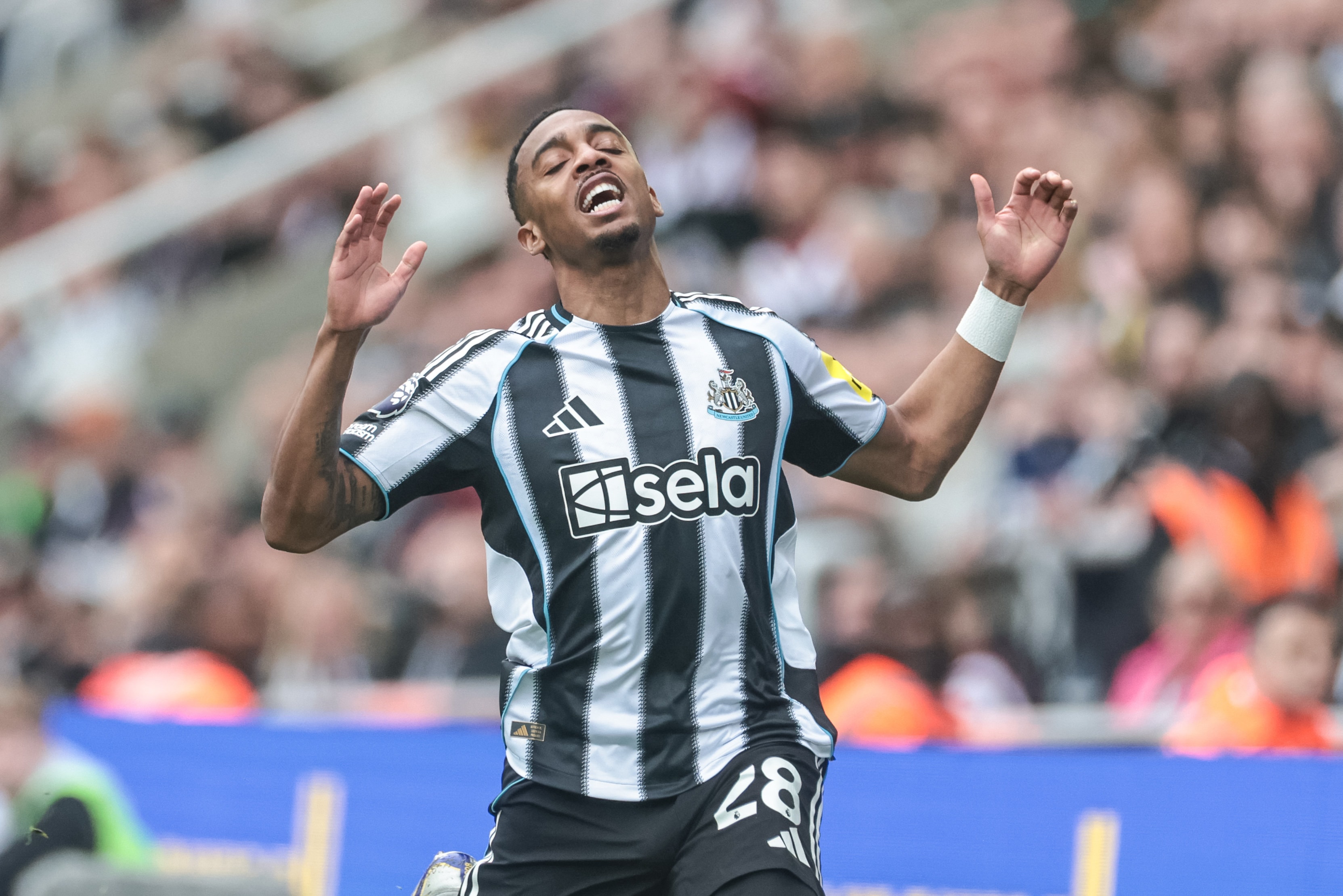 Beşiktaş, Newcastle'ın orta saha oyuncusu Joe Willock'u gündemine aldı