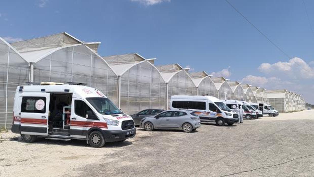 Afyonkarahisar'da serada ilaçlama faciası: 24 çalışan hastaneye kaldırıldı, 10'unun durumu ağır