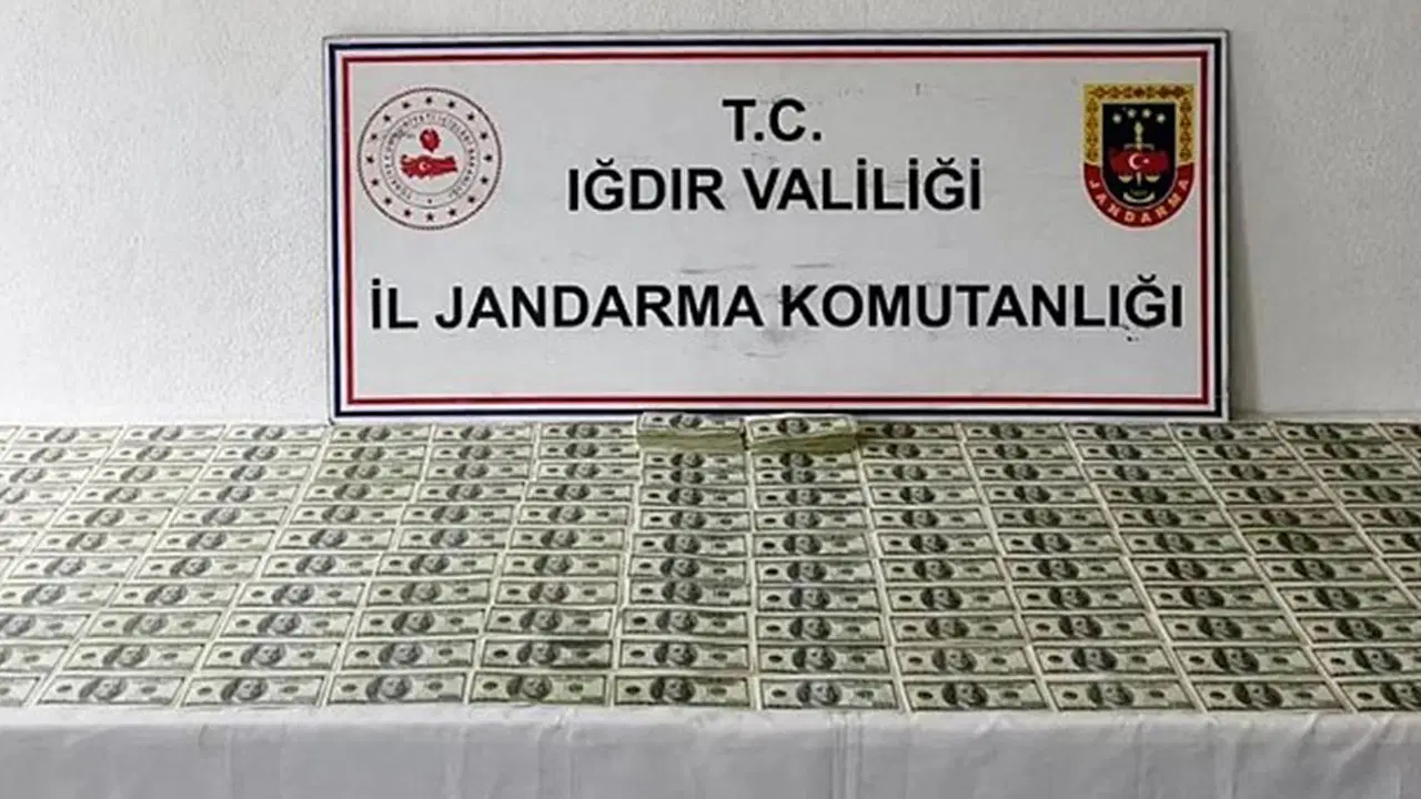 Iğdır'da jandarmadan sahte dolar operasyonu: 524 adet sahte 100 dolarlık banknot ele geçirildi