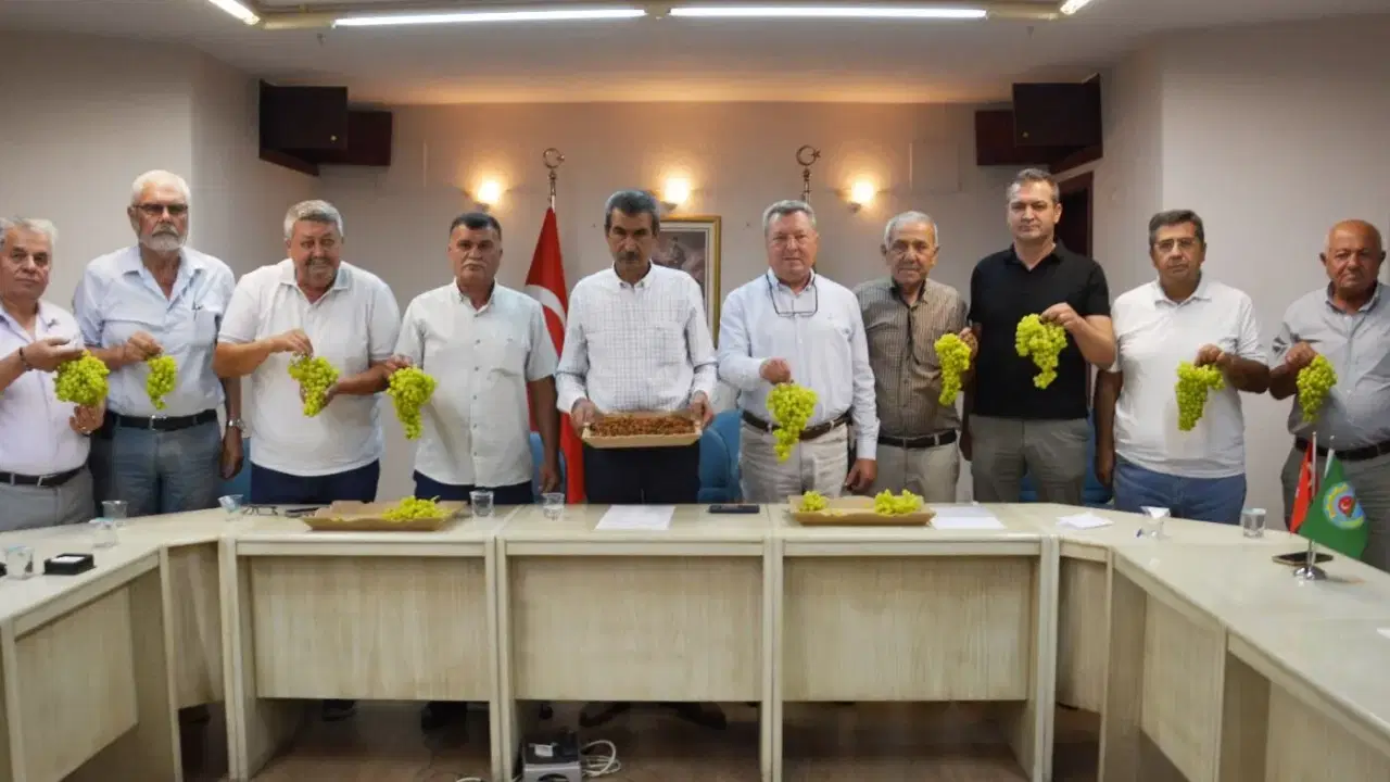 Manisalı üreticilerden kuru üzüm fiyatı için '120 TL'nin üstü' çağrısı