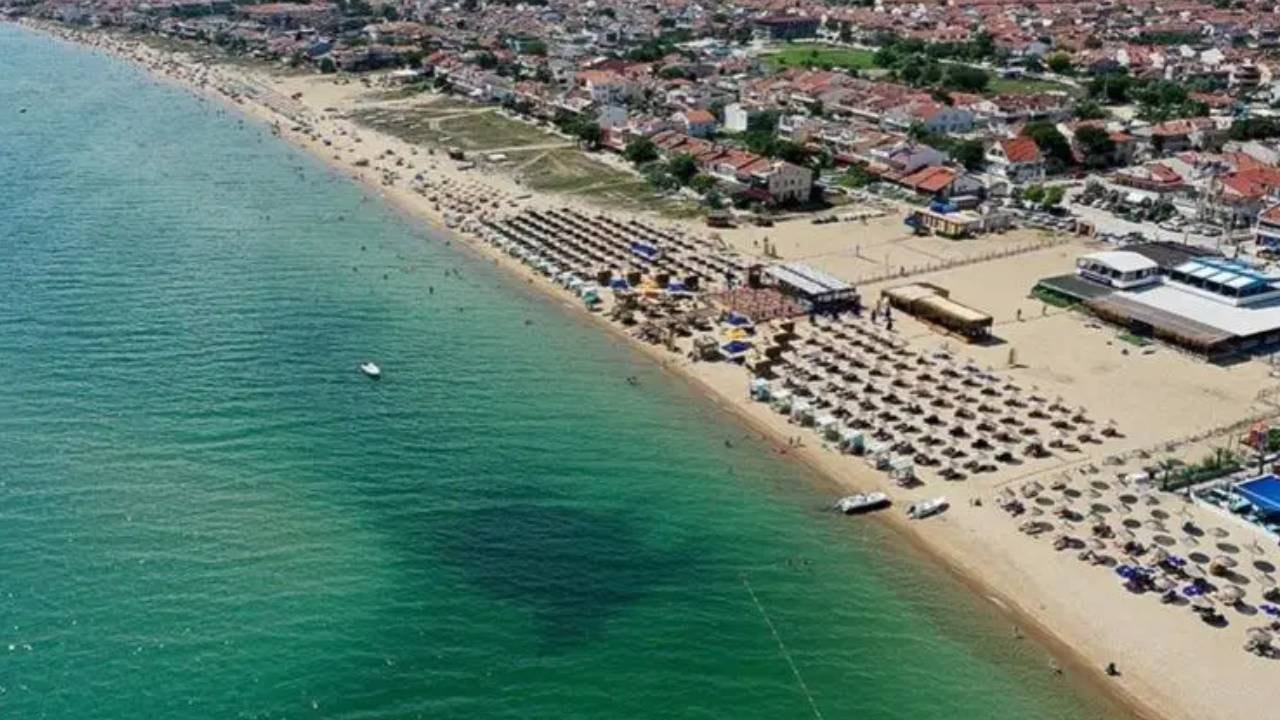 Dünyada sadece 3 örneği bulunan kendi kendini temizleyen deniz Türkiye'de