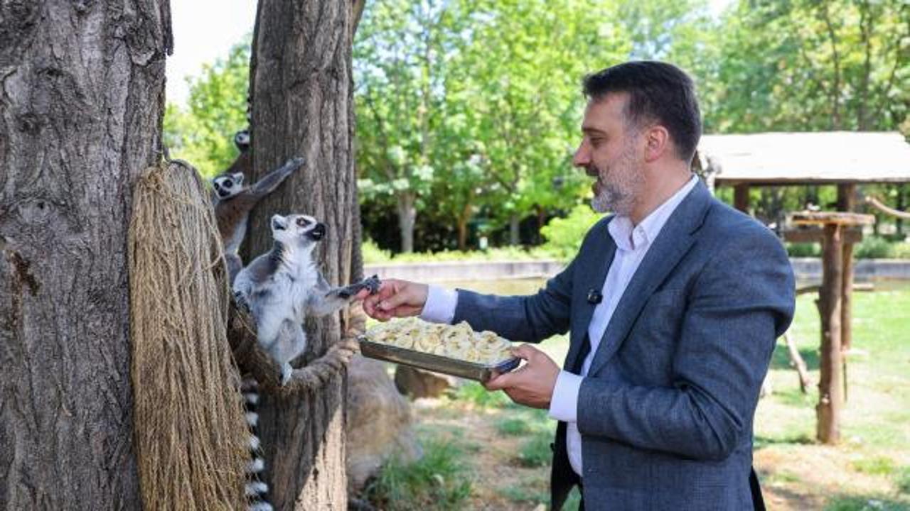 Başkan Vekili Biba, Bursa Hayvanat Bahçesi'nde projeleri yerinde inceledi
