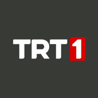 TRT 1 Frekans Bilgileri Güncellendi: Türksat 4A Geçişiyle Yeni Ayar Nasıl Yapılır?
