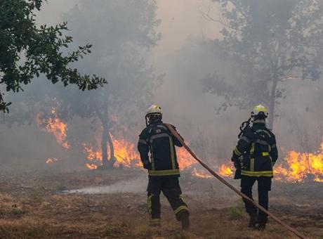 Fransa yangın felaketiyle boğuşuyor: 140 binden fazla kişi tahliye edildi