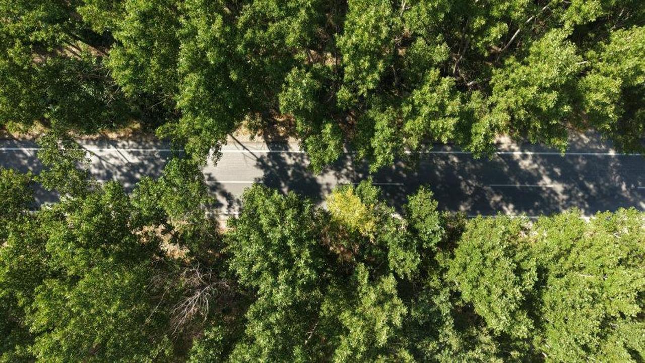Tokat'ın serinleten yeşil tüneli yaz aylarında doğaseverlerin akınına uğruyor