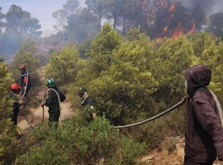 Cezayir'de orman yangınları can almaya devam ediyor: 6 kişi hayatını kaybetti