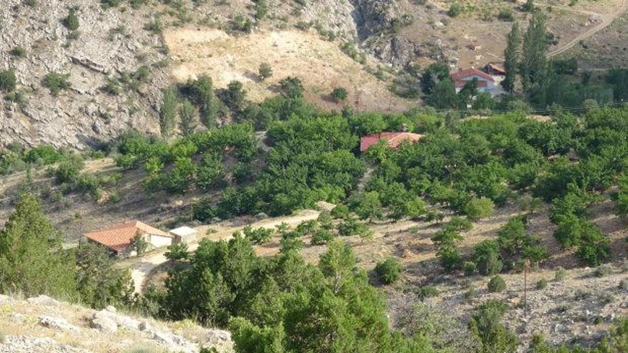 Aysel Yıldırım'ın kayıp cesedi için arama çalışmaları sürüyor: 5 şüpheliden 4'ü tutuklandı