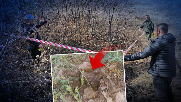 Erzurum ve Erzincan Topraklarından 'Kara Elmas' Fışkırdı: Kilogramı 750 Avro