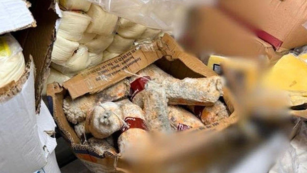 Bodrum'da tarihi geçmiş gıda operasyonu: 1,2 ton ürün imha edildi