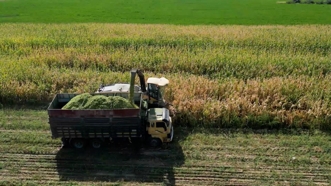 YÖK'ten tarımın geleceğine teknoloji odaklı eğitim hamlesi