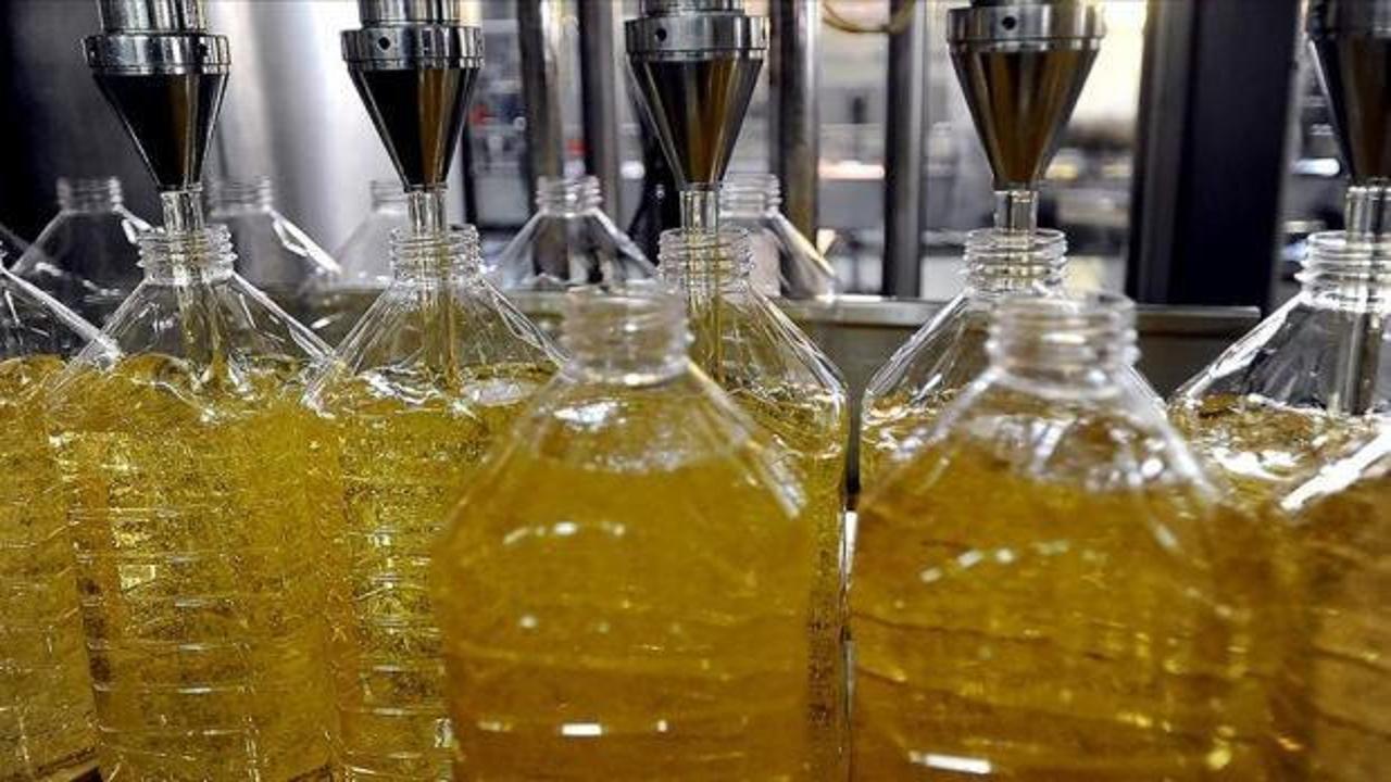 Türkiye'nin ayçiçeği yağı ihracatı 400 bin tonu aştı: En büyük müşteri Cibuti çıktı