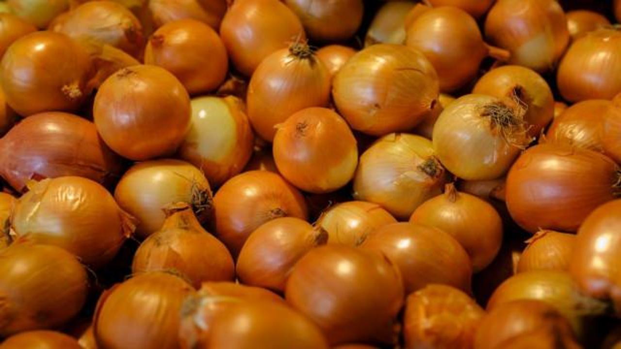 Soğanda tarihi zirve: Bir yılda 10 kat artan fiyat üreticiyi de isyan ettirdi