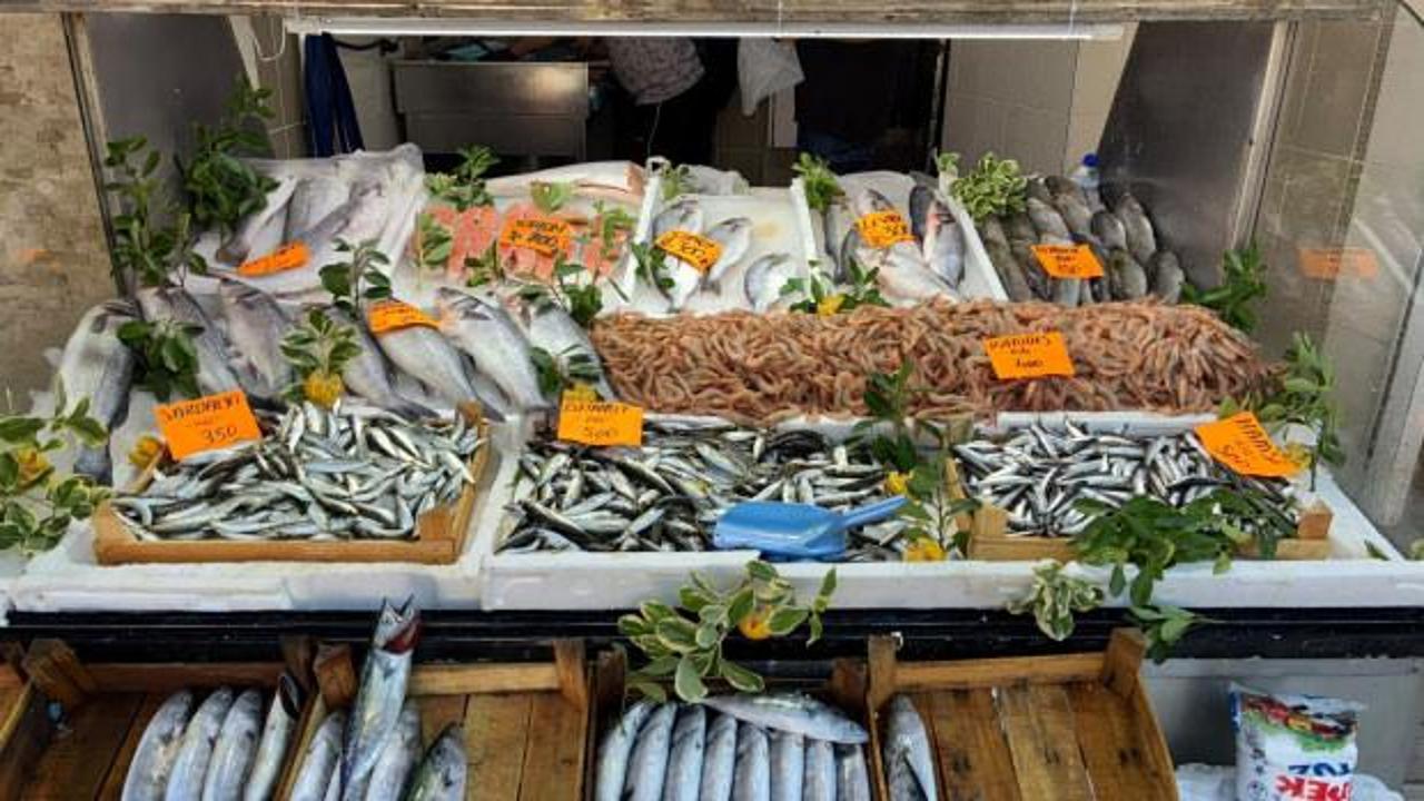 Karadeniz'de Palamut Bereketi: Balıkçılar Rekor Sezon Bekliyor