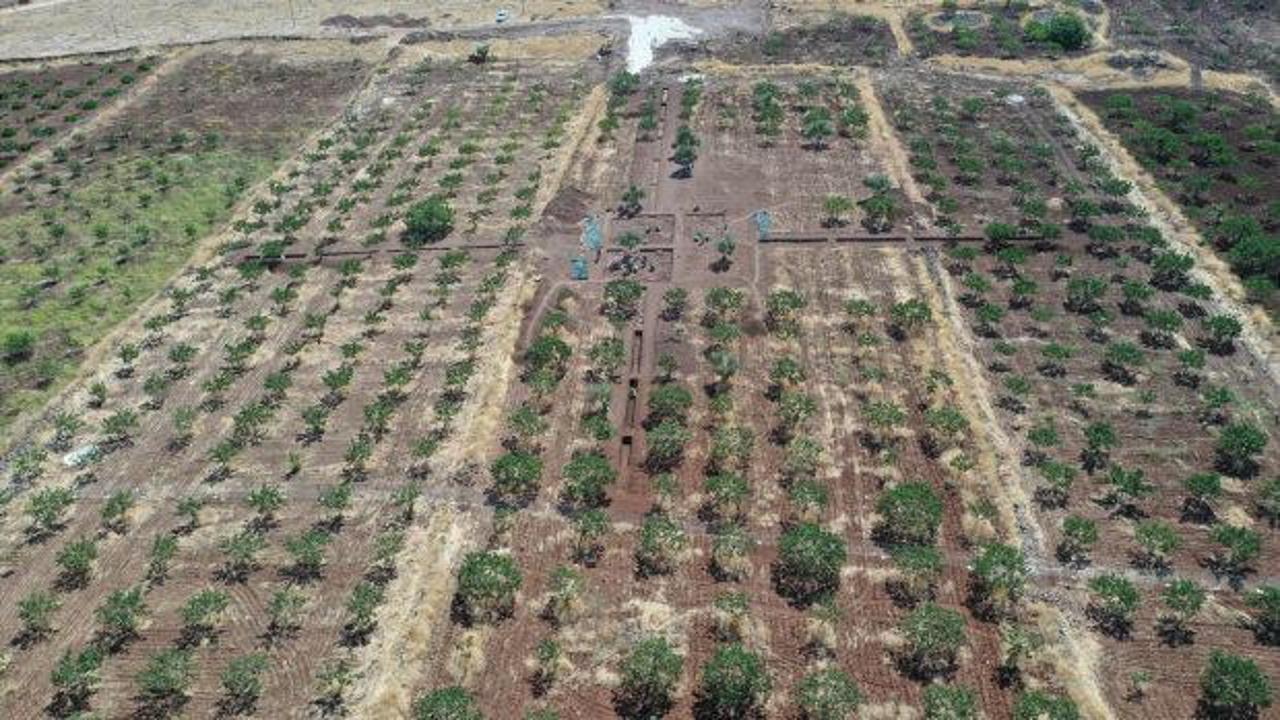 Şanlıurfa'da tarihi kazı: Çinli arkeologlar ilk kez Türkiye'de