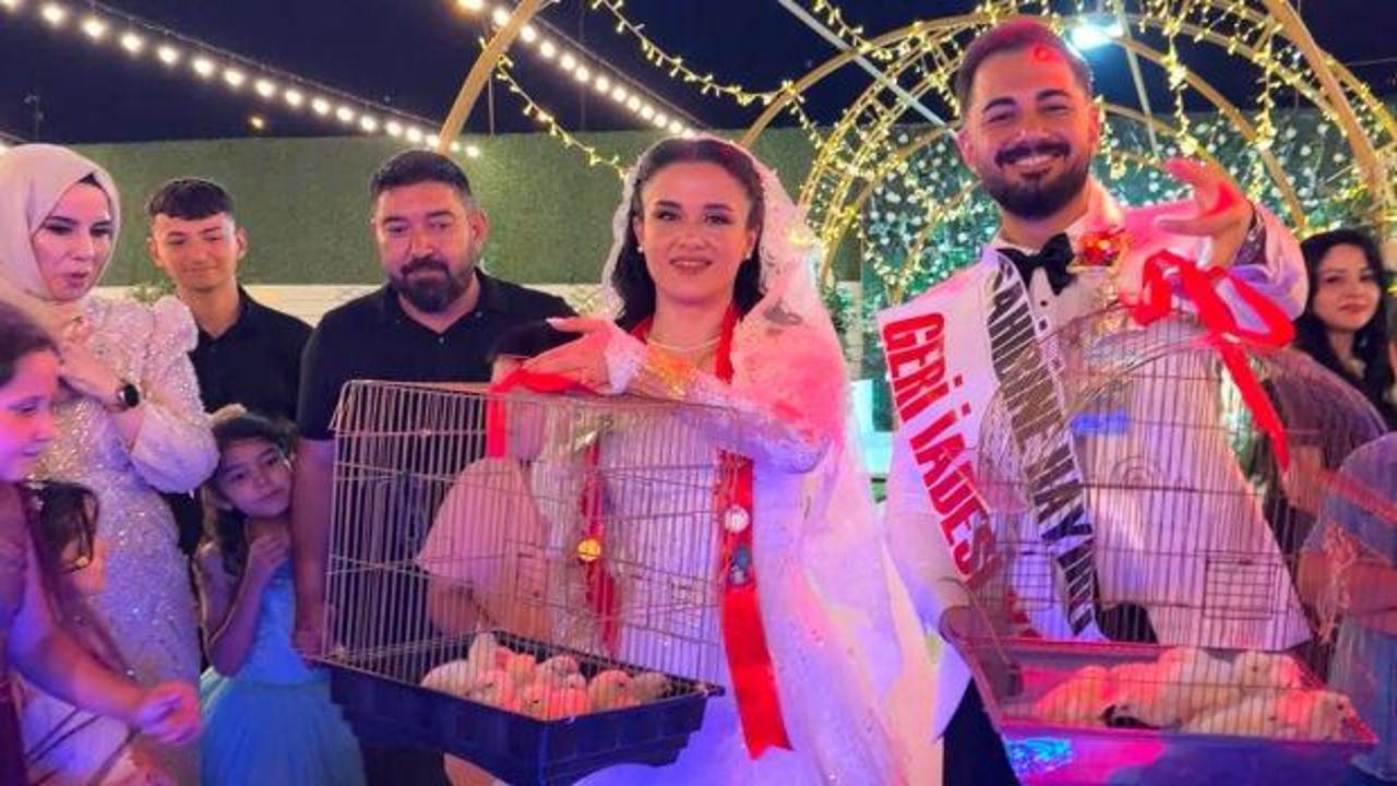 Usta, çırağına altın yerine 100 civciv hediye etti: 'Büyüt, değerlendir'