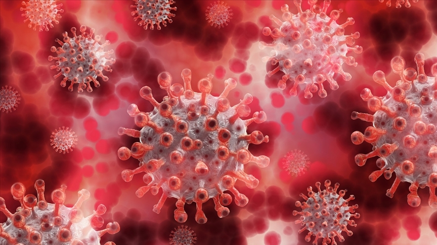 Yapay zeka laboratuvarda sentetik virüs üretti: Antibiyotiklere alternatif olabilir