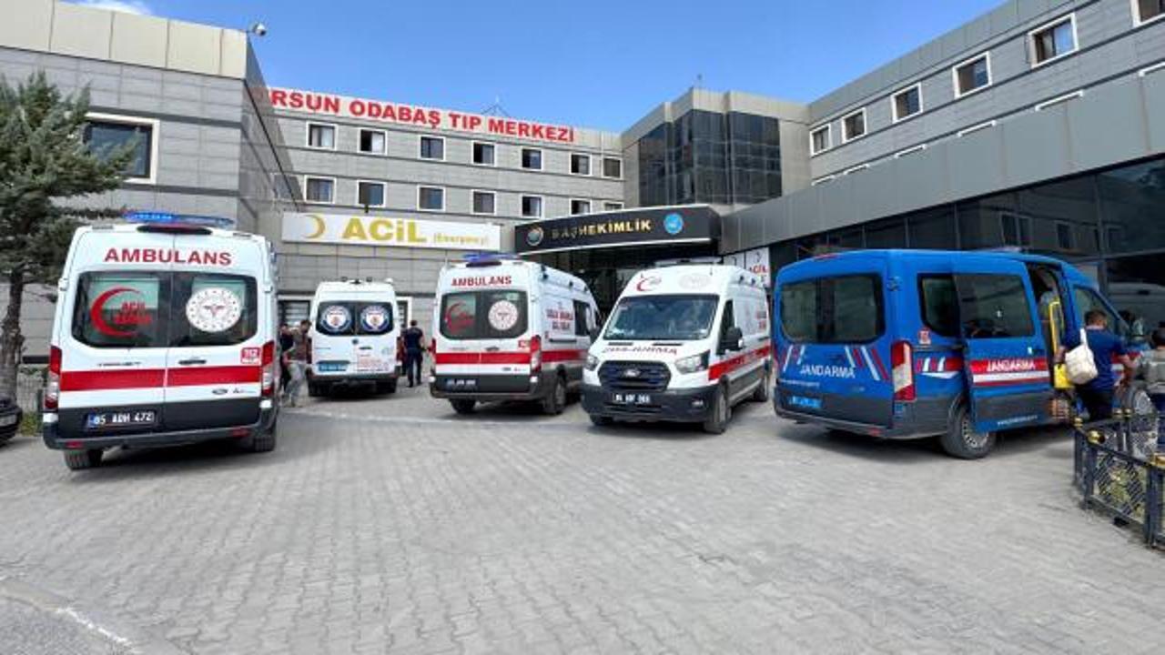 Van'da gölette boğulan 2 kardeşe acı veda