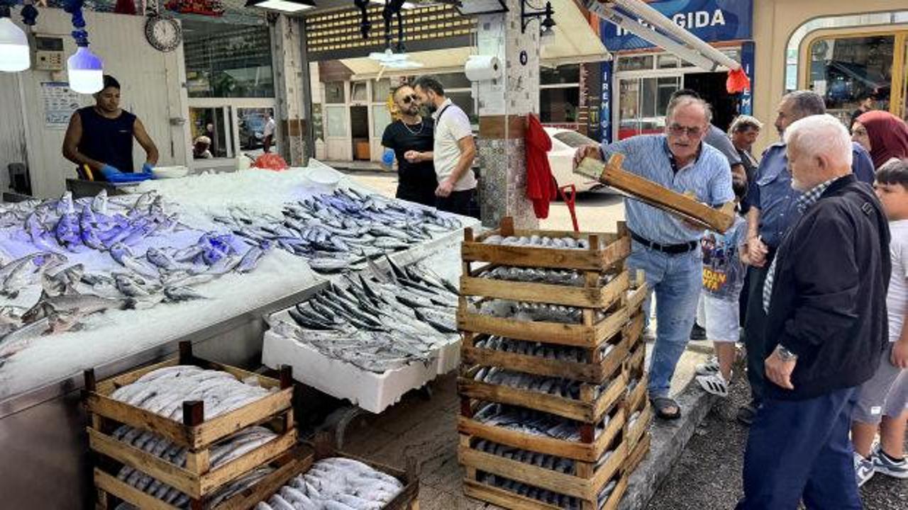 Karadeniz'de palamut bereketi: Tezgahlardaki fiyatlar daha da düşecek