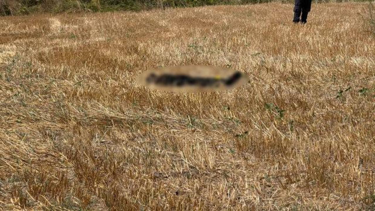 İstanbul'dan Bursa'ya uzanan esrarengiz ölüm: Kayıp yaşlı adamın cansız bedeni tarlada bulundu