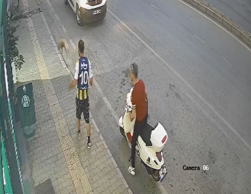 Samsun'da kediye tekme atan kişi yakalandı: Yüzde 40 engelli olduğu ortaya çıktı