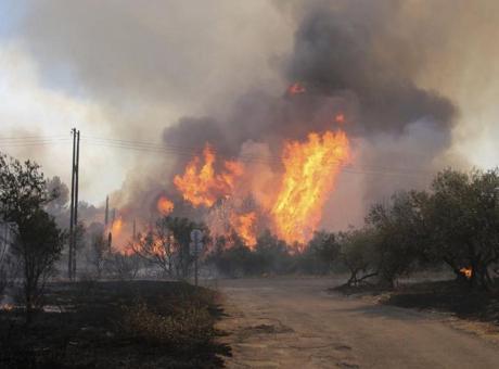 Fransa yangınlarla boğuşuyor: 50 vilayette turuncu alarm
