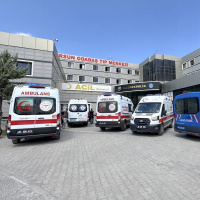 Van'da gölette boğulan 2 kardeş: Serinlemek isterken canlarından oldular