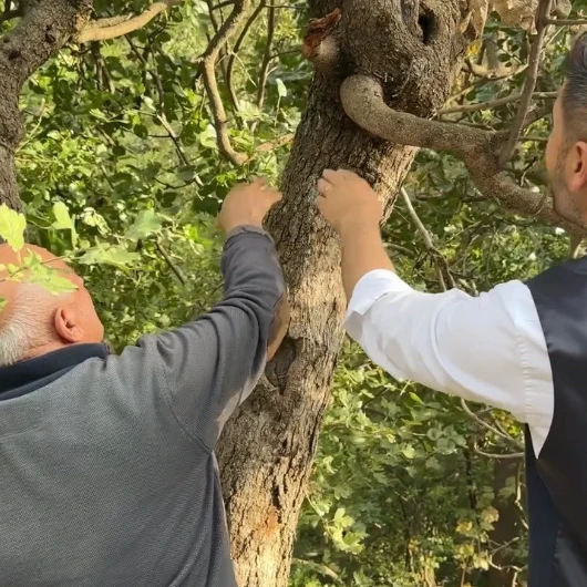 Gaziantep değil Hakkari: 'Yüksekova'da olmaz' denileni yetiştirdi!