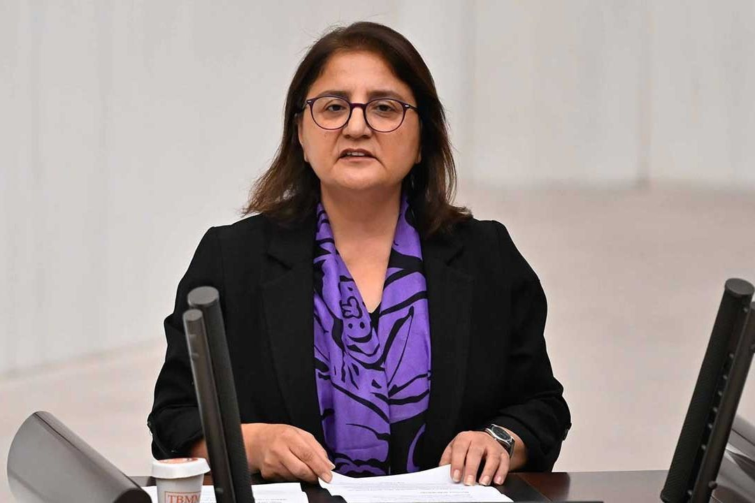 DEM Partili Ayten Kordu’dan Bakan Tekin’e soru önergesi: 'Dersim’de formasyon stajı ek